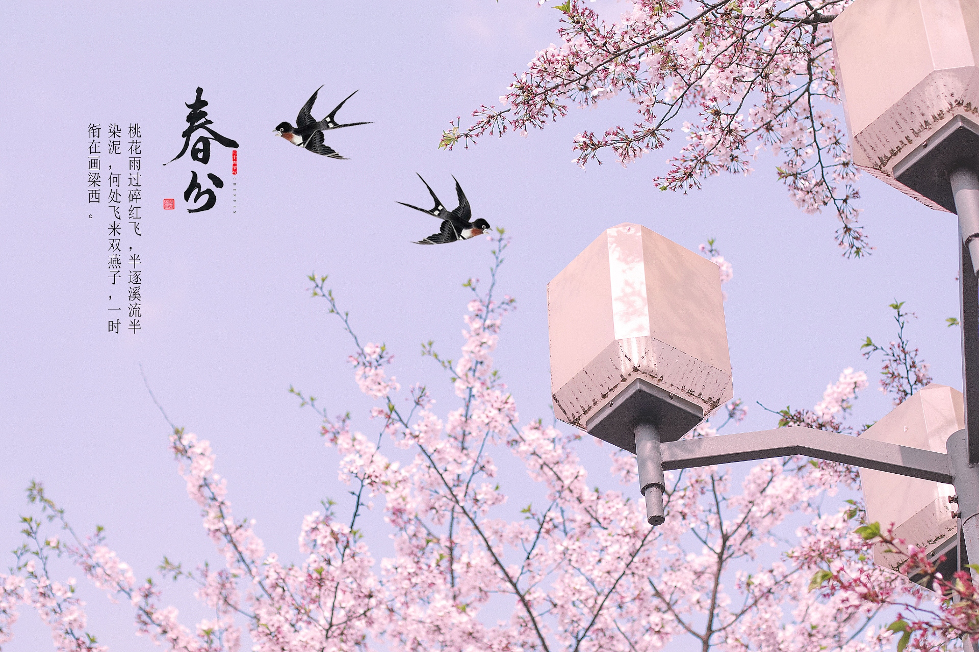 春分至，萬(wàn)物生：感受春天的溫暖與希望
